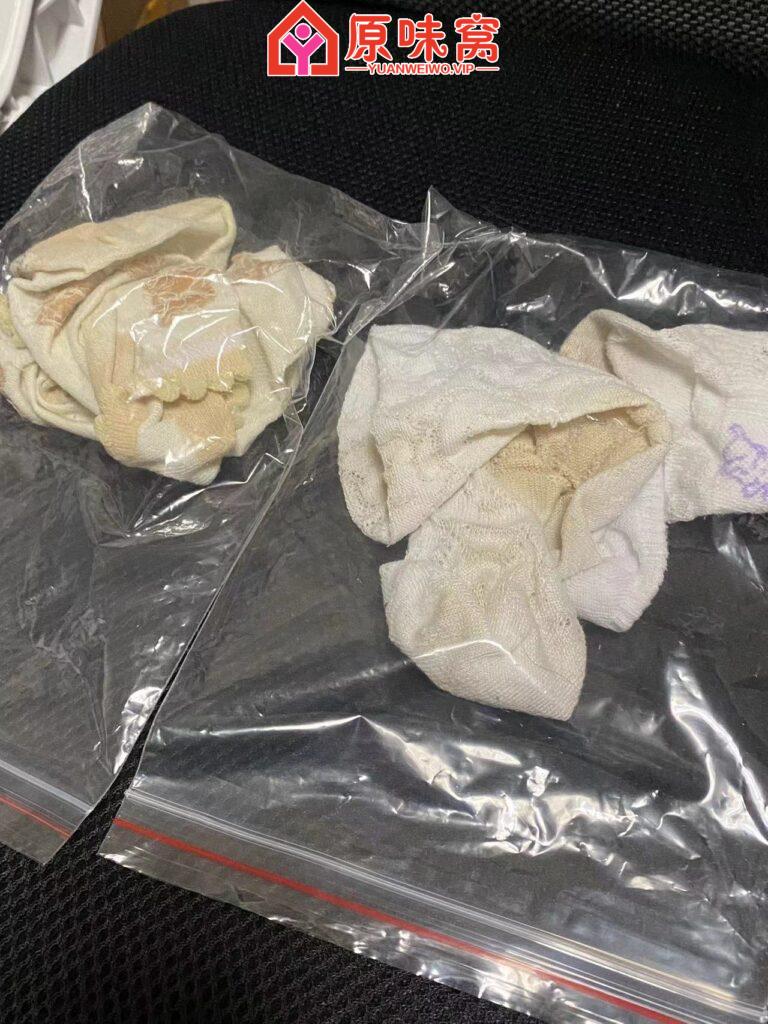 微信图片_20240126051507