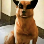 雪忆的头像-原味窝