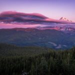 M小宝的头像-原味窝