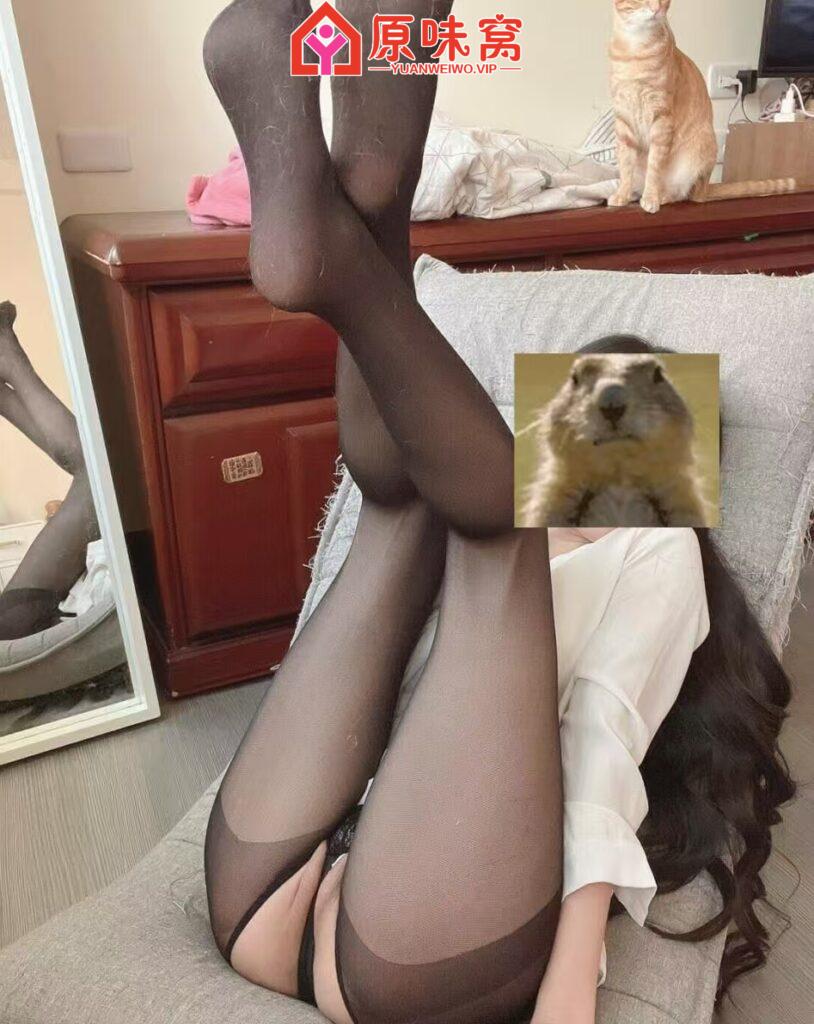 站长担保，力推，真实大s.小沐姐，QQ875197888-陪聊调教sm小窝-原味窝官方-原味窝