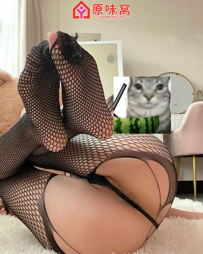 站长力推担保小沐健身教练微信xiaotian0211--陪聊调教sm小窝-原味窝官方-原味窝