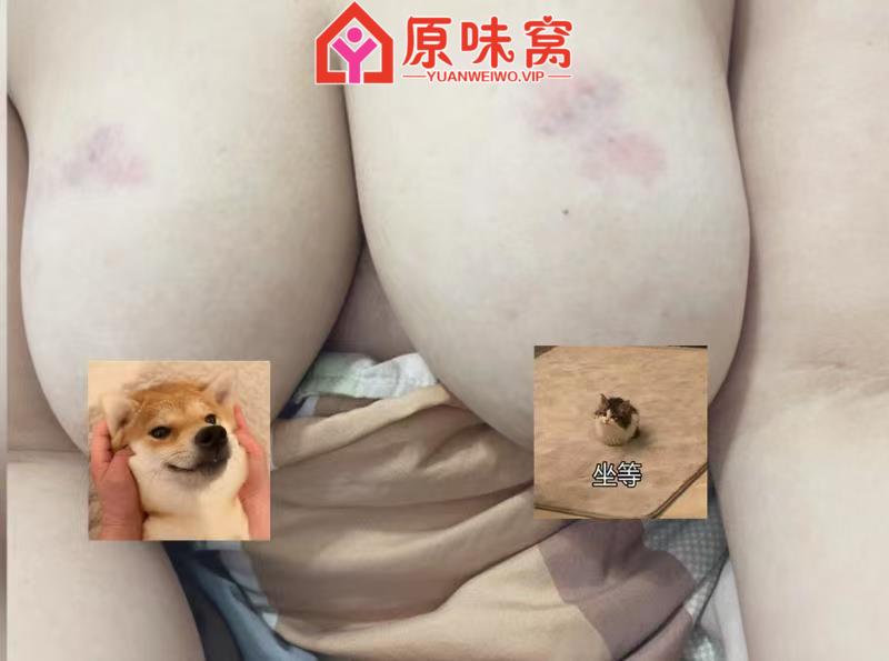 微信图片_20250915191754_44_2