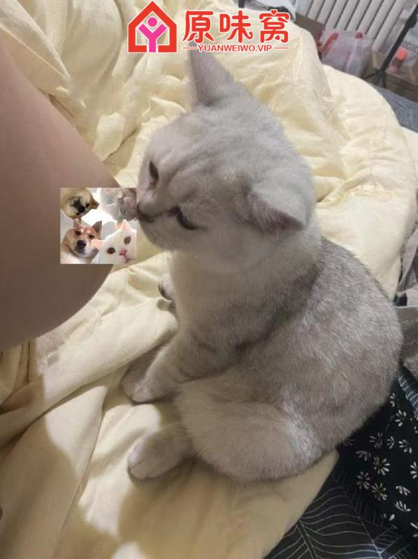 微信图片_20250915191755_45_2