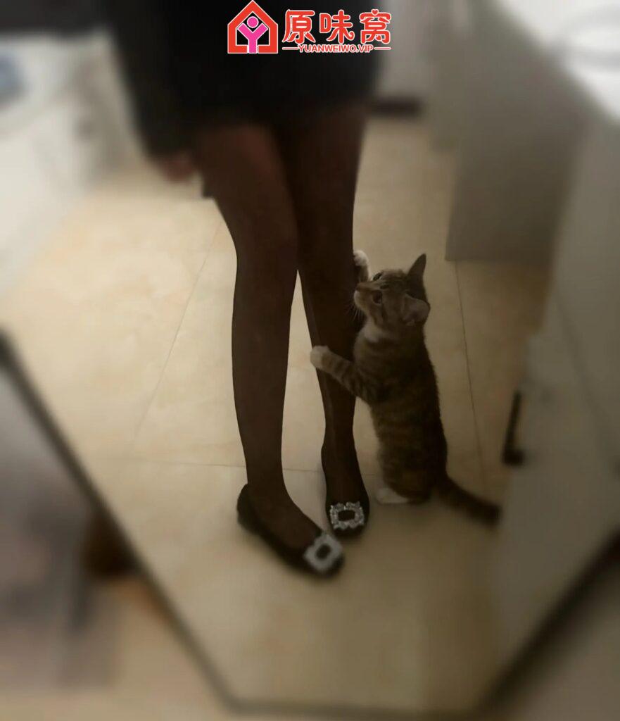 站长力推，小沐s健身教练微信xiaotian0211--陪聊调教sm小窝-原味窝官方-原味窝